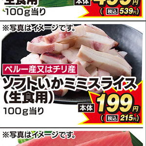 いか（刺身）