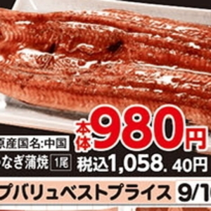 うなぎの蒲焼き