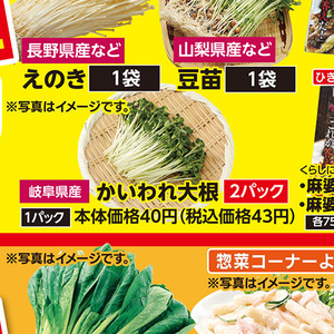 カイワレ大根