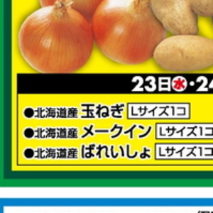 たまねぎ