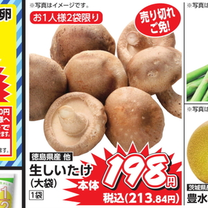 しいたけ