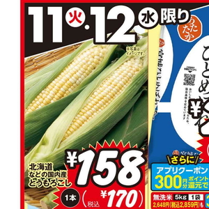 とうもろこし