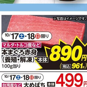 まぐろ中とろ
