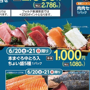 まぐろ中とろ