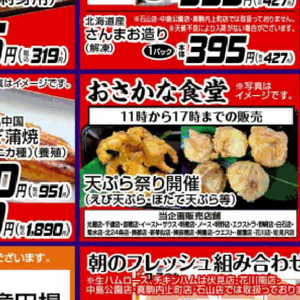 うなぎの蒲焼き