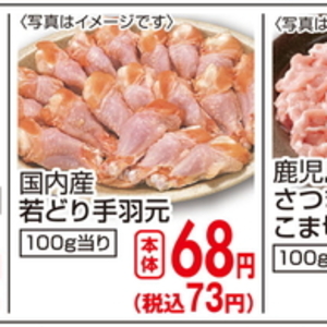 鶏手羽元