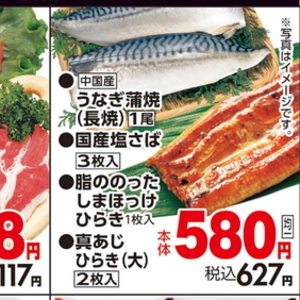 うなぎの蒲焼き