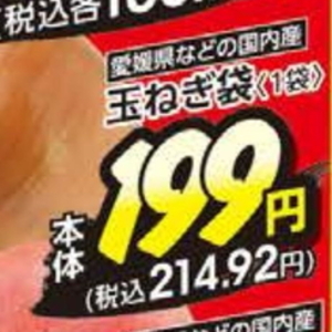たまねぎ