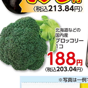 ブロッコリー