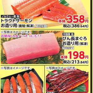 まぐろ（刺身）