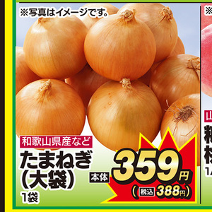 たまねぎ