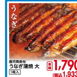 うなぎの蒲焼き