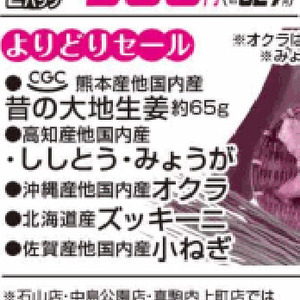 小葱
