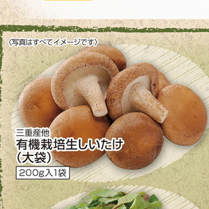 しいたけ