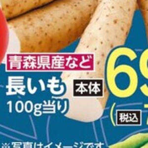 ながいも