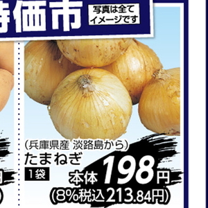 たまねぎ