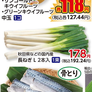 ながねぎ