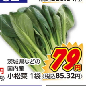 こまつ菜