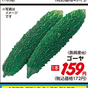 ゴーヤ