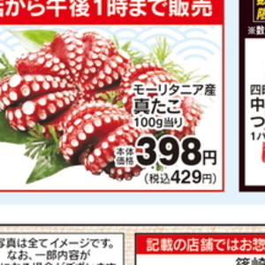 たこ（ボイル）