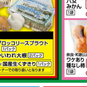 ブロッコリースプラウト