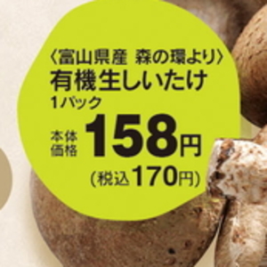 しいたけ