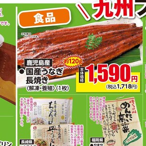 うなぎの蒲焼き