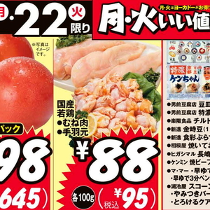 鶏手羽元