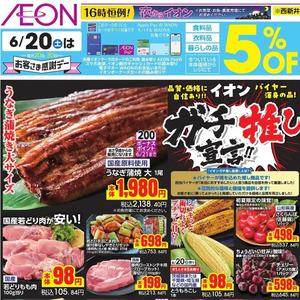 うなぎの蒲焼き