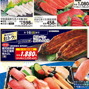 うなぎの蒲焼き