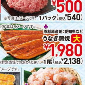 うなぎの蒲焼き