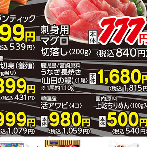 うなぎの蒲焼き