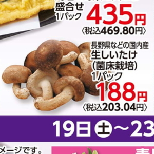 しいたけ