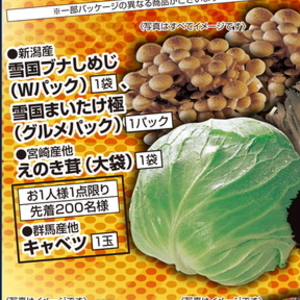 えのき茸