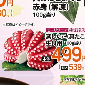 たこ（ボイル）