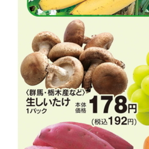 しいたけ