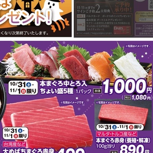 まぐろ中とろ