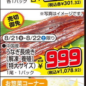 うなぎの蒲焼き