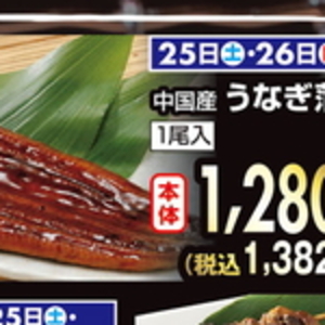 うなぎの蒲焼き
