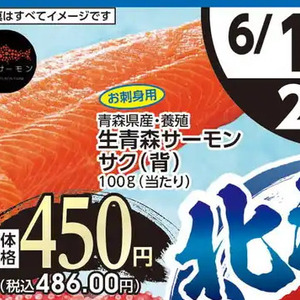 サーモン（さく取り）