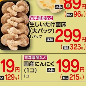 しいたけ