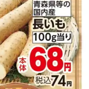 ながいも
