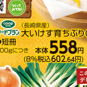 ぶり（さく取り）