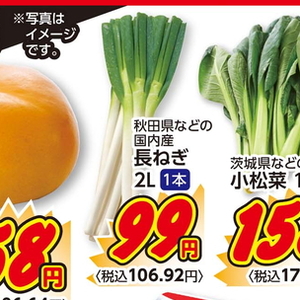 ながねぎ