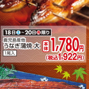 うなぎの蒲焼き