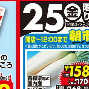 だいこん