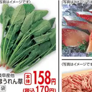 ほうれん草