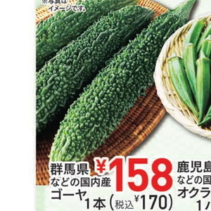 ゴーヤ