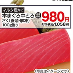 まぐろ中とろ