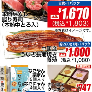 うなぎの蒲焼き
